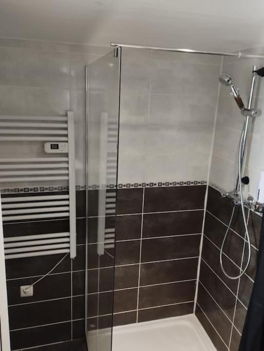 Appartement Coeur De Ville! Foix Extérieur photo